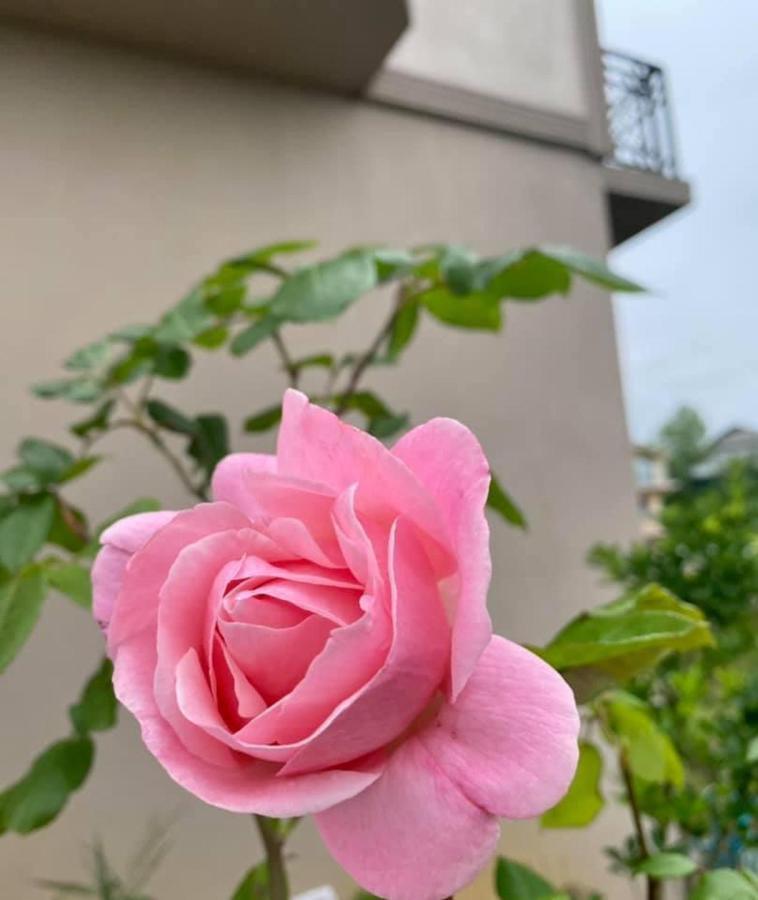 Green Yard Hotel باتومي المظهر الخارجي الصورة